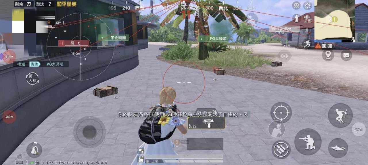 和平精英98k耀虎外挂